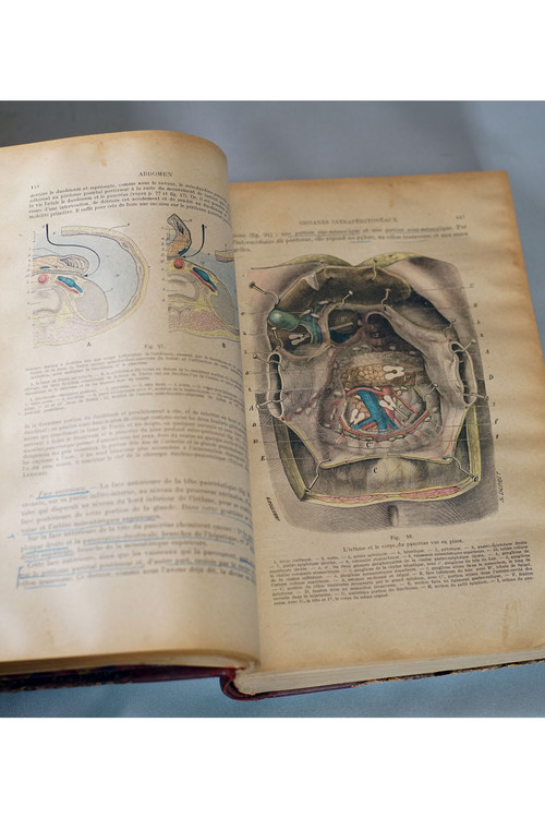 ABHANDLUNG ÜBER TOPOGRAPHISCHE ANATOMIE. L.TESTUT & O. JACOB, 2 Bände. 1477 Illustrationen