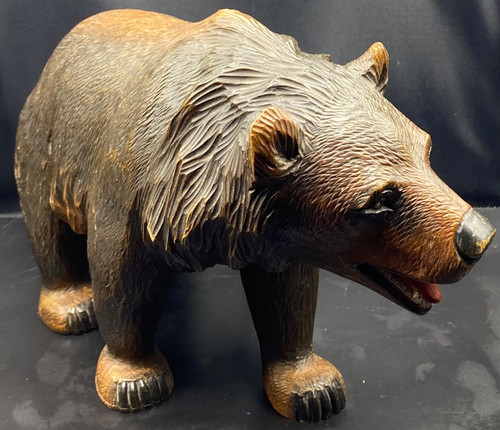 ORSO DELLA FORESTA NERA 1900