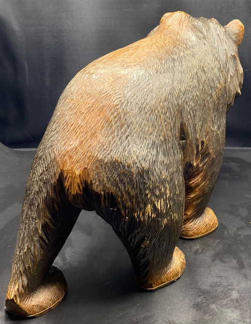 ORSO DELLA FORESTA NERA 1900