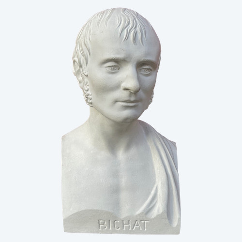 Xavier Bichat ( 1771-1802 ) Physician - Library Bust 19th C Plaster N°2