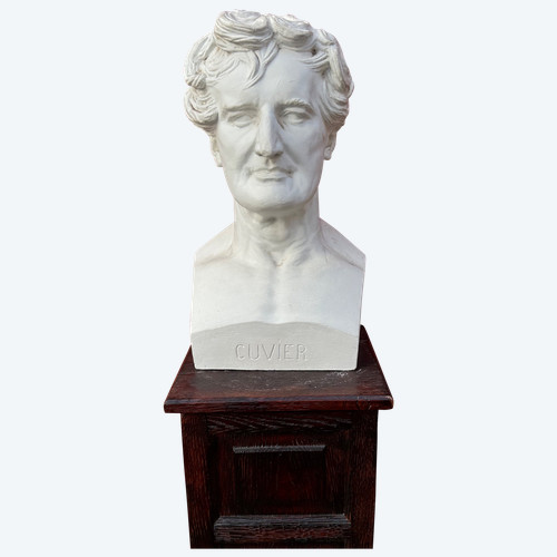  Georges Cuvier ( (1769-1832) Anatomista - Buste De Bibliothèque En Plâtre Fin XIXéme N °4