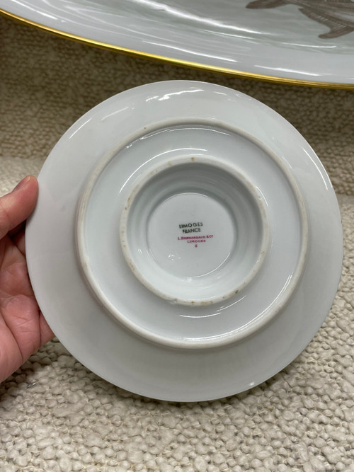 Bernardaud - Fish Service For 12 People in Limoges porcelain