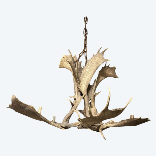 Important Elk Antler Chandelier Early 20th Century - Deer Antlers