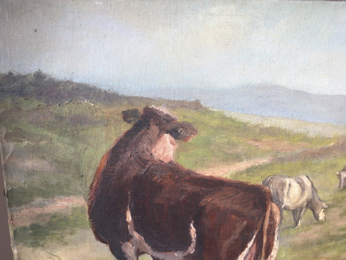 Troupeau de vaches 