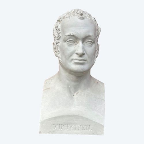 Baron Guillaume Dupuytren (1777- 1835) Buste De Bibliothèque En Plâtre - Anatomiste, Chirurgien N°5