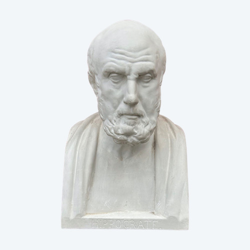 Hippokrates ( 460 - 377 v. Chr. ) Griechischer Arzt und Philosoph - Bibliotheksbüste 19. Jahrhundert Nr. 6