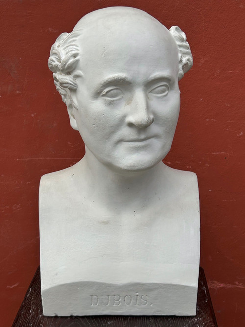 Paul Antoine Dubois (1795-1871) Medico ostetrico - Buste De Bibliothèque XIXème N°8