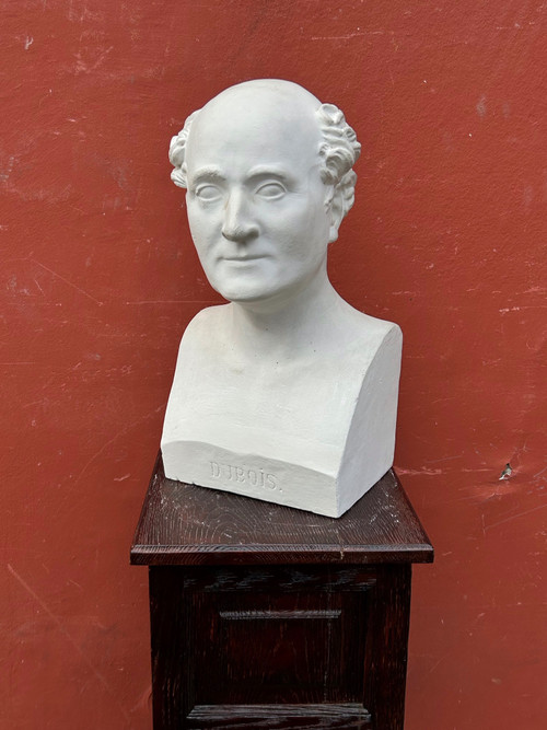 Paul Antoine Dubois (1795-1871) Medico ostetrico - Buste De Bibliothèque XIXème N°8