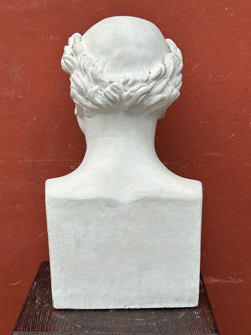 Paul Antoine Dubois (1795-1871) Medico ostetrico - Buste De Bibliothèque XIXème N°8