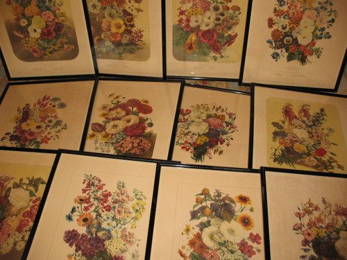 Planches lithographiées Album Vilmorin bouquets de fleurs peintes par Elisa Champin 12 planches