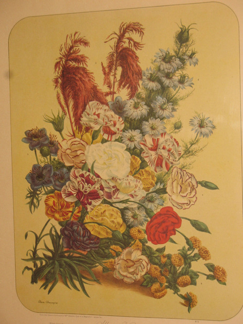 Planches lithographiées Album Vilmorin bouquets de fleurs peintes par Elisa Champin 12 planches