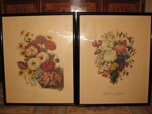 Planches lithographiées Album Vilmorin bouquets de fleurs peintes par Elisa Champin 12 planches