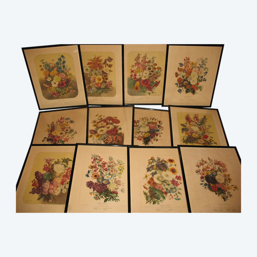 Lithographed plates Album Vilmorin bouquets of flowers painted by Elisa Champin 12 plates