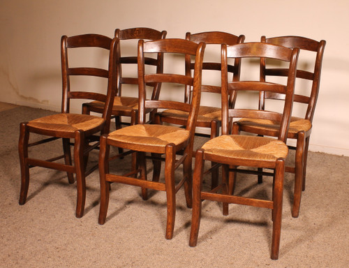 Set di 6 sedie in rovere con moquette