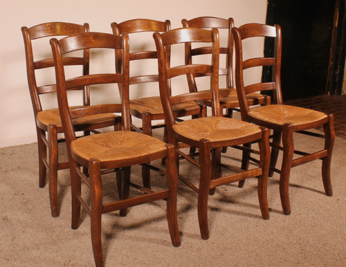 Set di 6 sedie in rovere con moquette