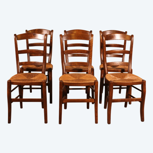 Set di 6 sedie in rovere con moquette