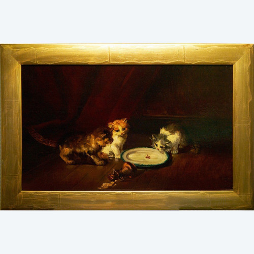 Chatons Att. Brunel De Neuville (1852/1941) 