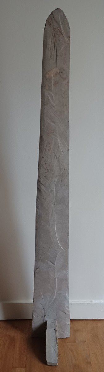 Important fossil (156 cm) - Orthoceras, 250M years old - Tazzarine deposit, Morocco - Naturalia - Curiosa