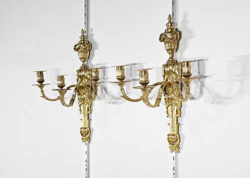 Paire d’Appliques en Bronze Doré, style Louis XVI – Milieu XIXe