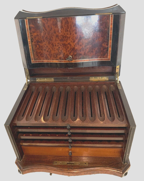 Cigar box in burr cedar and black wood XIX century