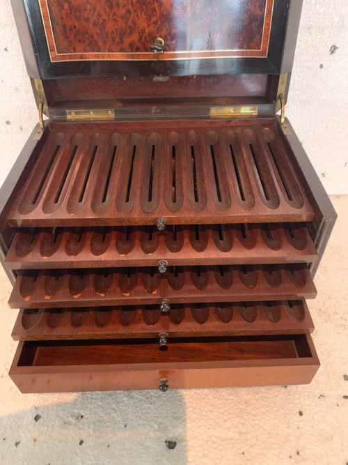 Cigar box in burr cedar and black wood XIX century