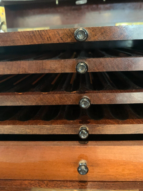 Cigar box in burr cedar and black wood XIX century