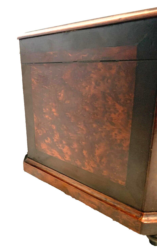 Cigar box in burr cedar and black wood XIX century