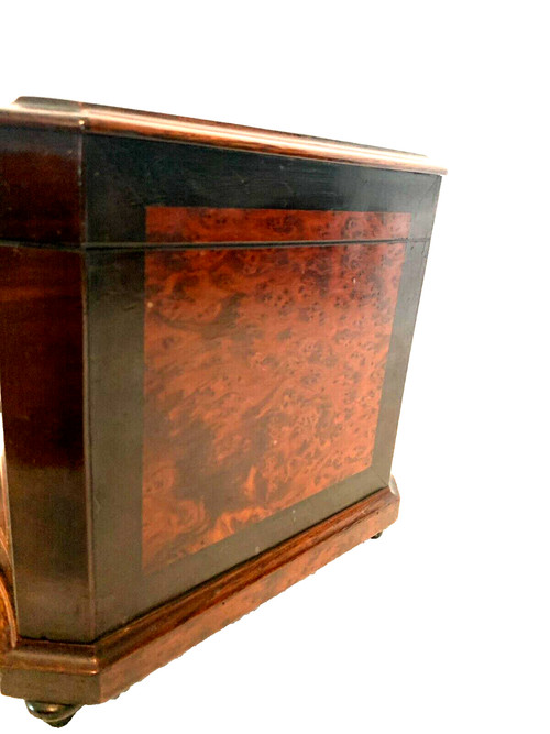 Cigar box in burr cedar and black wood XIX century