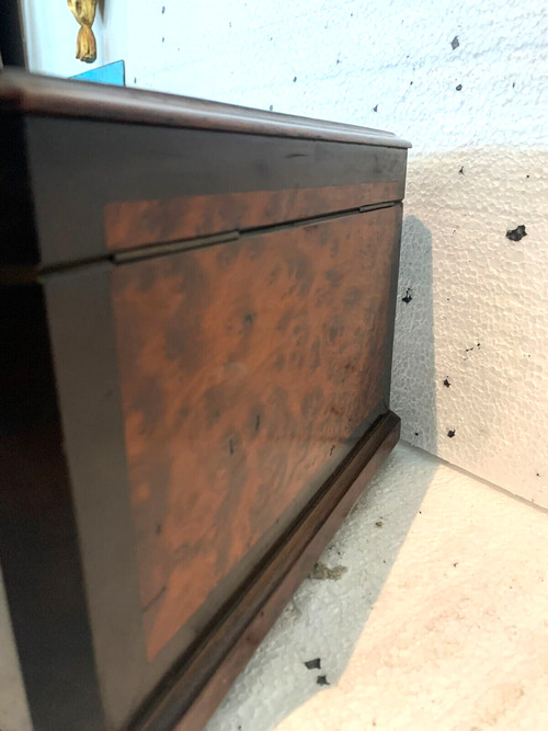 Cigar box in burr cedar and black wood XIX century