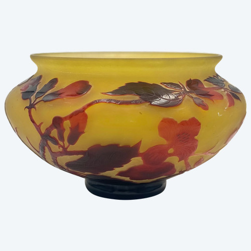D’ Argental, Paul Nicolas Coupe à Décor Des Fleurs 