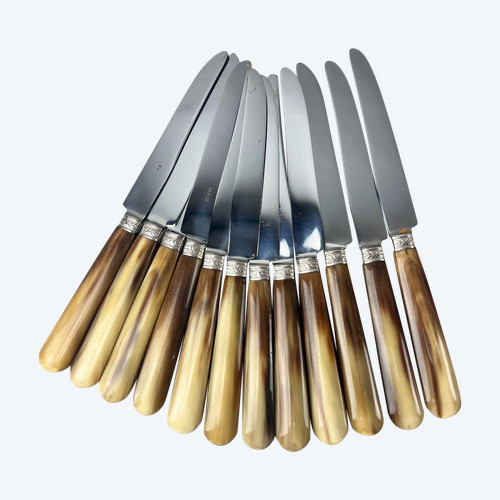 Twelve dessert or cheese knives, horn handle