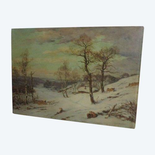 Snowy landscape in forest