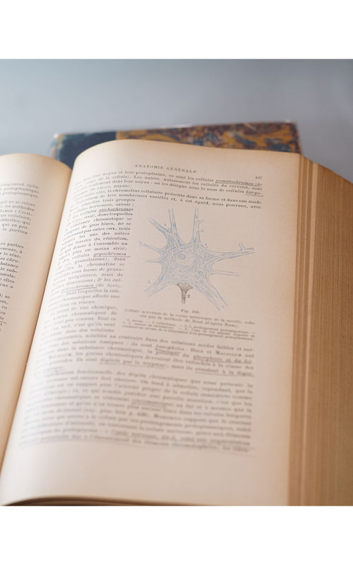 L. TESTUT, TRAITÉ D'ANATOMIE HUMAINE, 4 tomes, 1911 - 1912