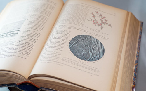 L. TESTUT, TRAITÉ D'ANATOMIE HUMAINE, 4 tomes, 1911 - 1912