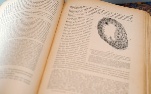 L. TESTUT, TRAITÉ D'ANATOMIE HUMAINE, 4 tomes, 1911 - 1912