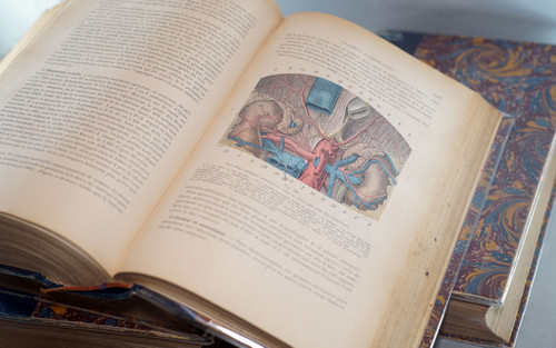 L. TESTUT, TRAITÉ D'ANATOMIE HUMAINE, 4 tomes, 1911 - 1912