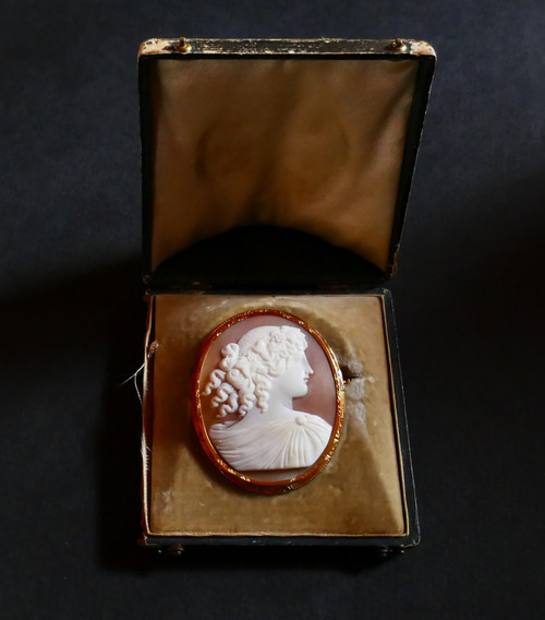 Broche Camée Sur Coquillage, Or Jaune 18 Carats.