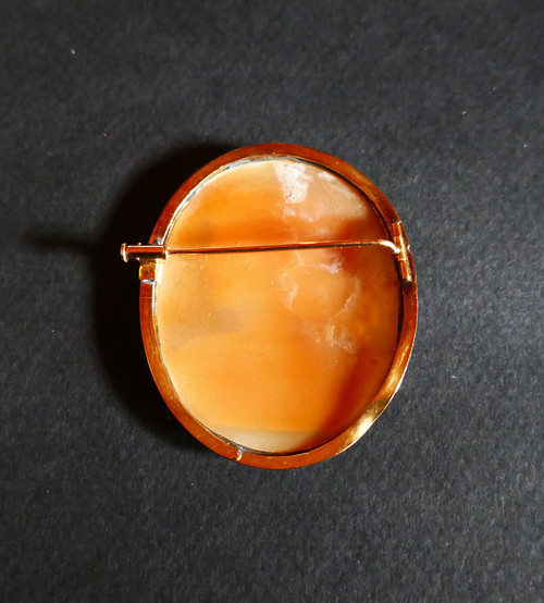 Broche Camée Sur Coquillage, Or Jaune 18 Carats.