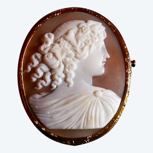 Broche Camée Sur Coquillage, Or Jaune 18 Carats.