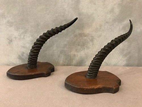 Paire de cornes de gazelle sur support en bois vers 1900