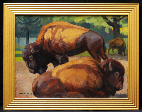 André MARGAT, bisonte americano