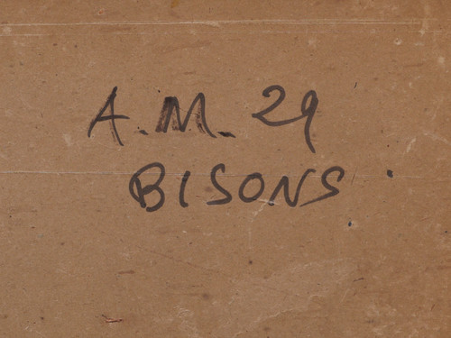 André MARGAT, bisonte americano