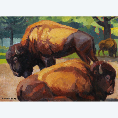 André MARGAT, bisonte americano