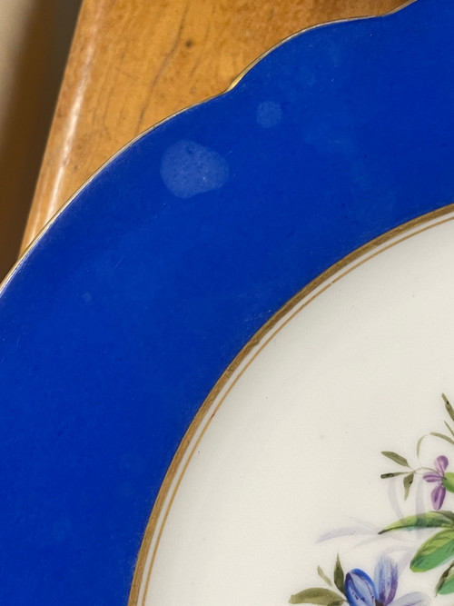 Suite De 12 Assiettes En Porcelaine Décor Fleurs Peint A La Main Charles Pillivuyt 