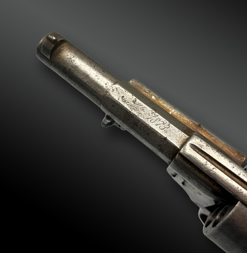 Revolver Modello 1873 della Manifattura d'Armes De Saint-Etienne - Francia - XIX secolo