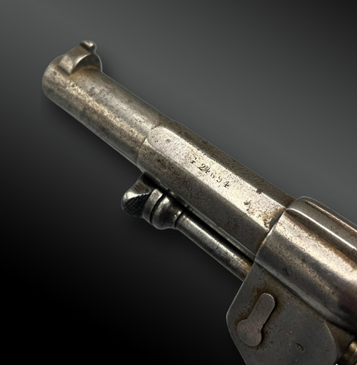 Revolver Modello 1873 della Manifattura d'Armes De Saint-Etienne - Francia - XIX secolo