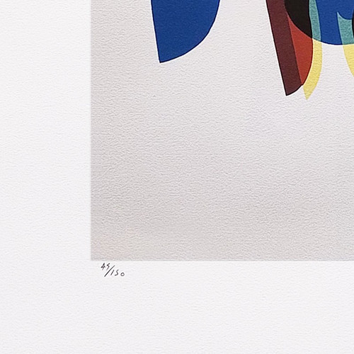 1970 Original Gorgeous Man Ray "Shadows" Limited Edition Lithograph