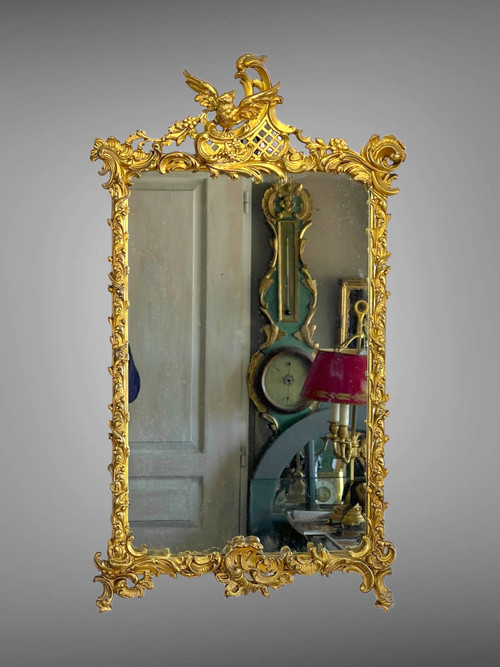 SPECCHIO DEL XIX SECOLO IN LEGNO E STUCCO DORATO IN STILE LOUIS XV ( FRONTIERA CON UCCELLO )