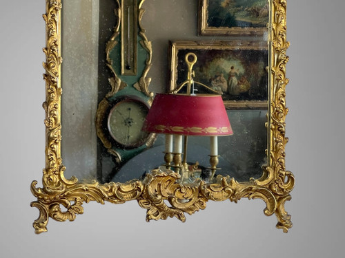 SPECCHIO DEL XIX SECOLO IN LEGNO E STUCCO DORATO IN STILE LOUIS XV ( FRONTIERA CON UCCELLO )