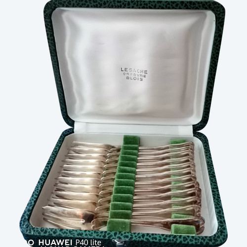 Household set of 12 forks ( A.Lesaché Joullier Blois)